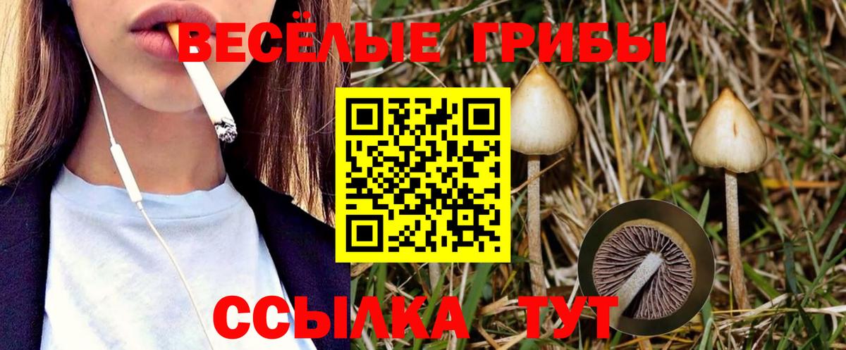 Псилоцибиновые грибы Cubensis  Галлюциногенные грибы Psilocybe  Вход с VPN  наркошоп  Новокубанск 